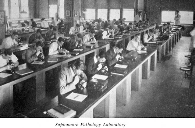 Sophomore pathology laboratory students