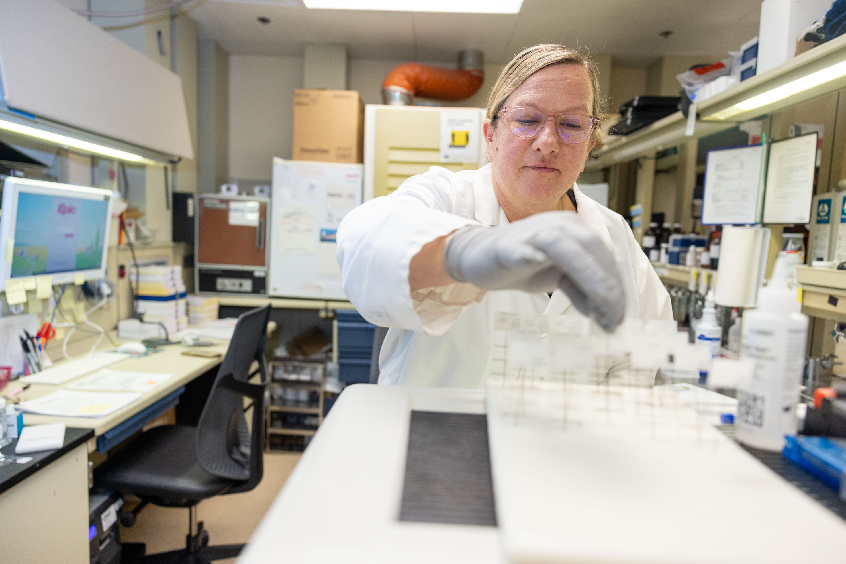 Medical laboratory scientist prepares slides of a muscle biopsy