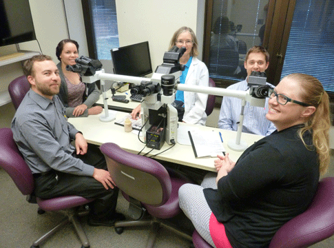People sitting at a table with microscopes
