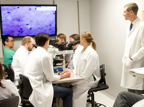 People sitting in front of microscopes