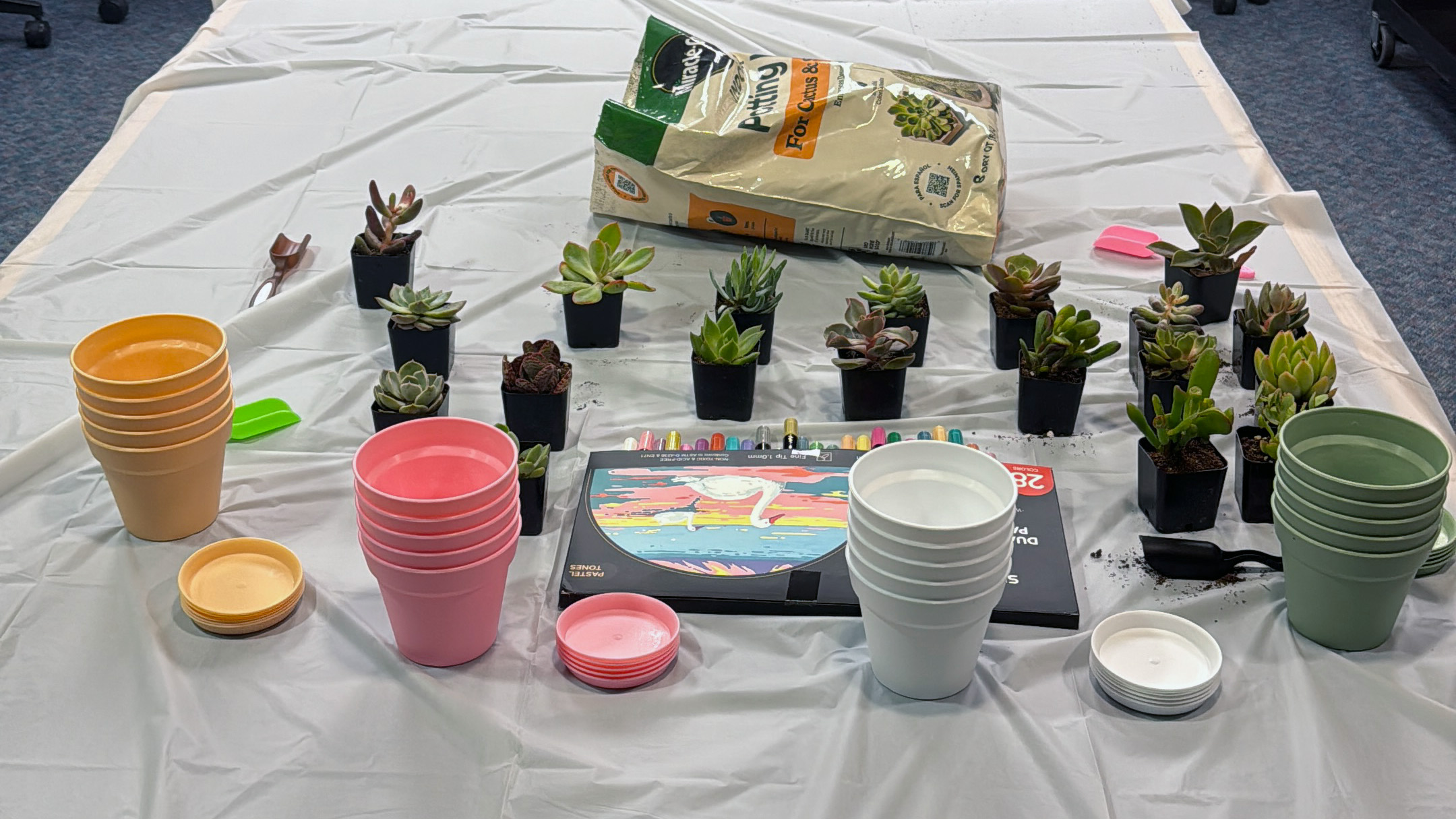A row of succulent plants on a table cloth