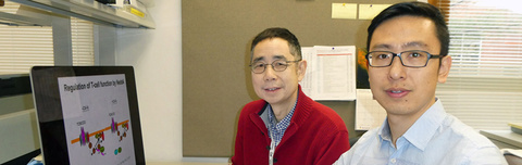 121317_art_qiuming-zeng.jpg Qiuming Zeng and Jian Zhang
