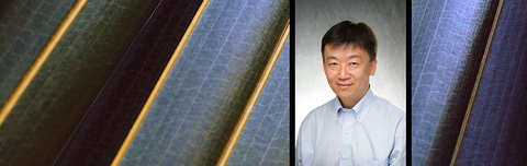 123119_art_zhao.jpg Dr. Chen Zhao