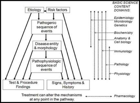 MechCaseDiagram