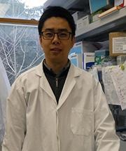 Dr. Yilei Ma Dr. Yilei Ma