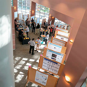 A view of some research posters from above