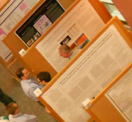 A row of research posters