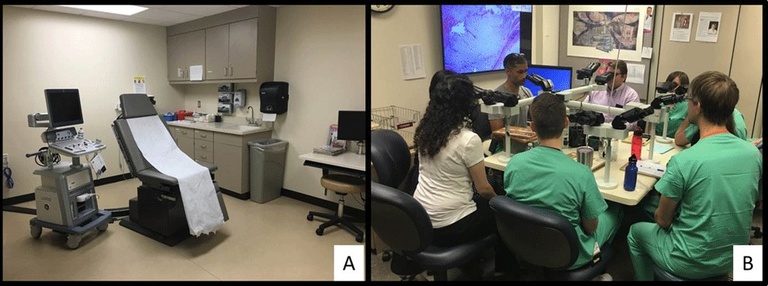 A collage of cytopathology equipment