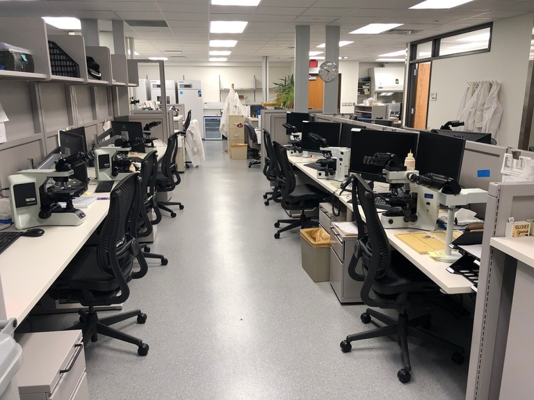Two rows of microscopes and workstations