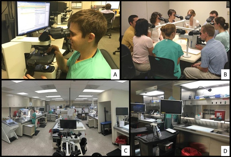 A collage showing off the surgical pathology lab