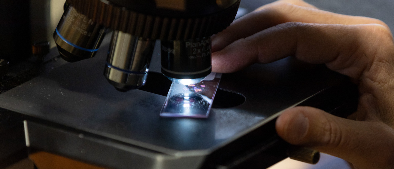 A person using a microscope