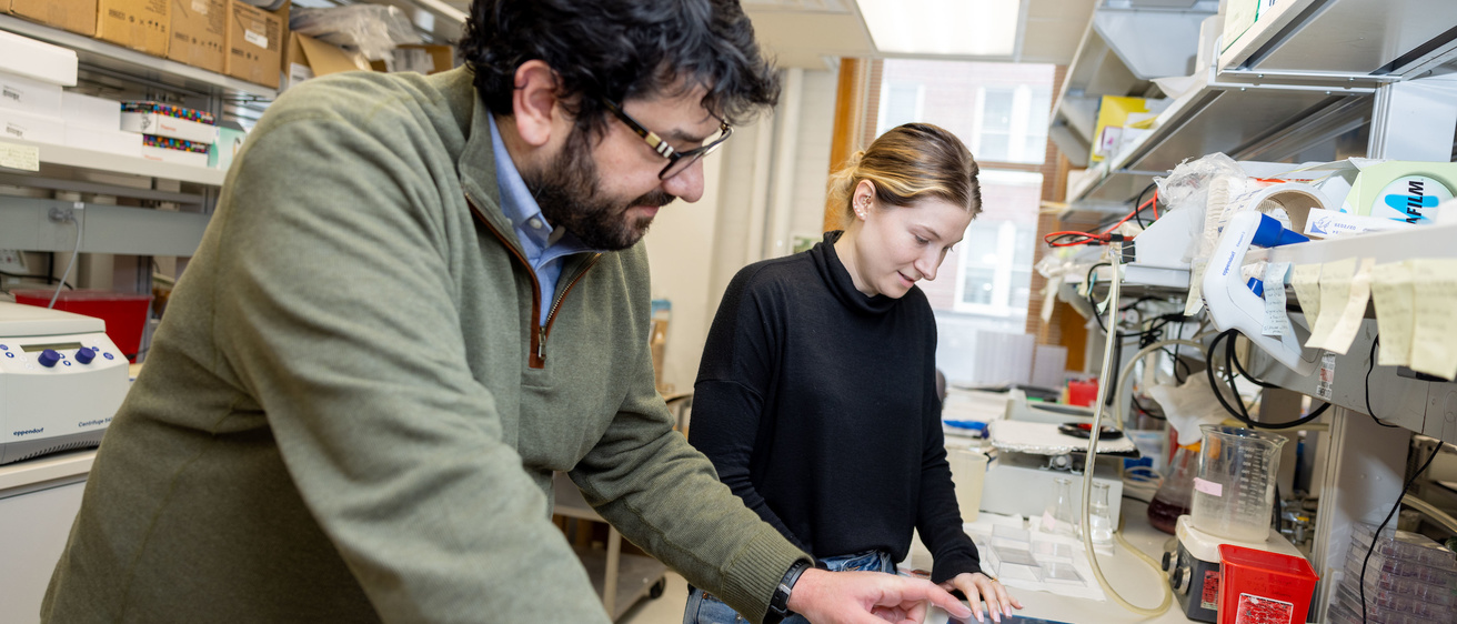 Two people looking at something on research lab counter