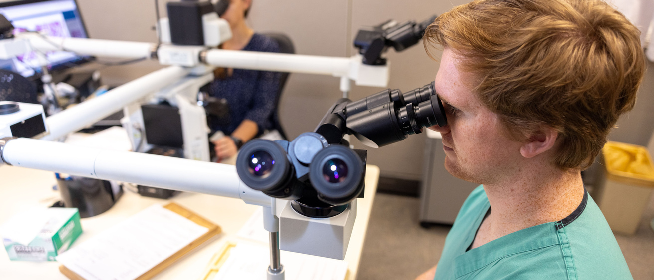 A pathology extern looking through a microscope along with a faculty member