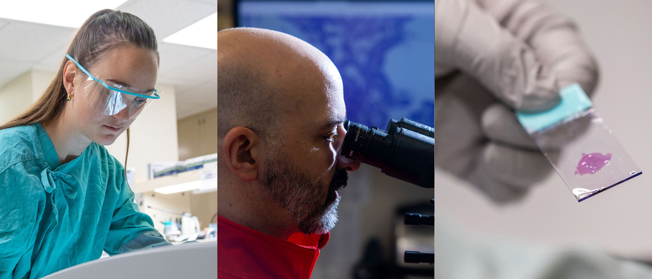 A collage of photos of people working in surgical pathology