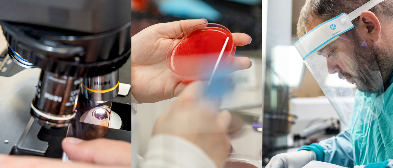 A collage of microscopes, slides, and a person with a face shield