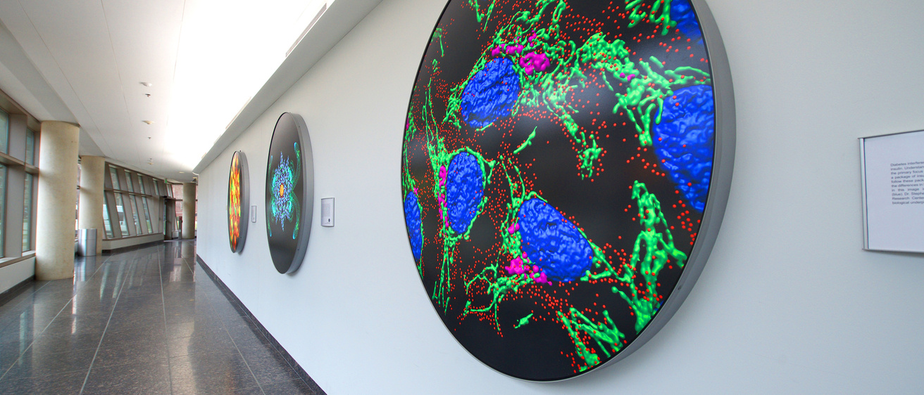 Hallway of the MERF building