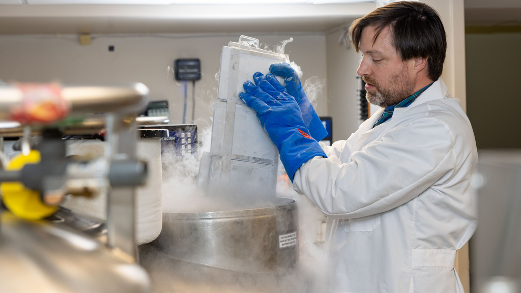A person handling frozen samples