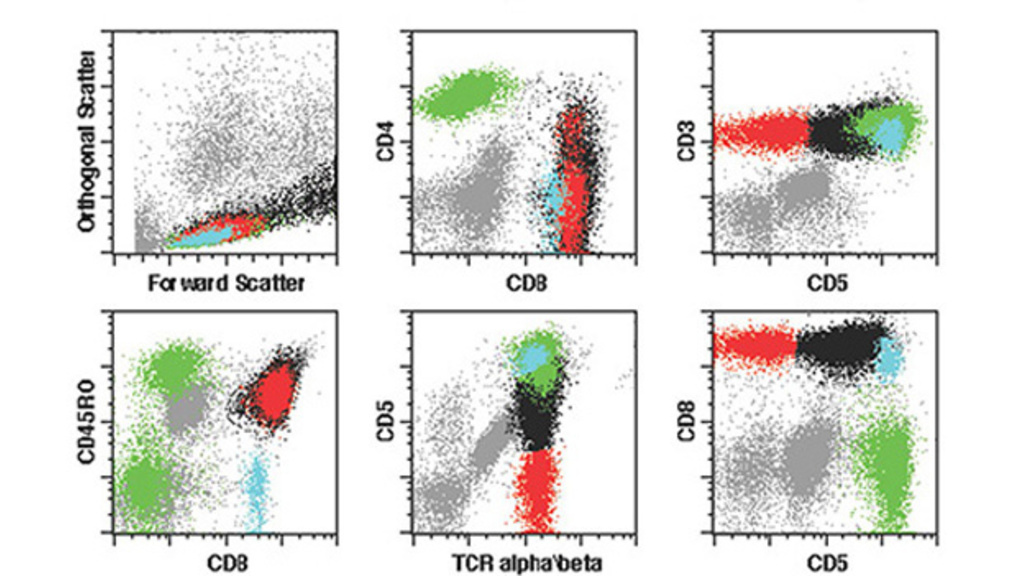 A scatter plot
