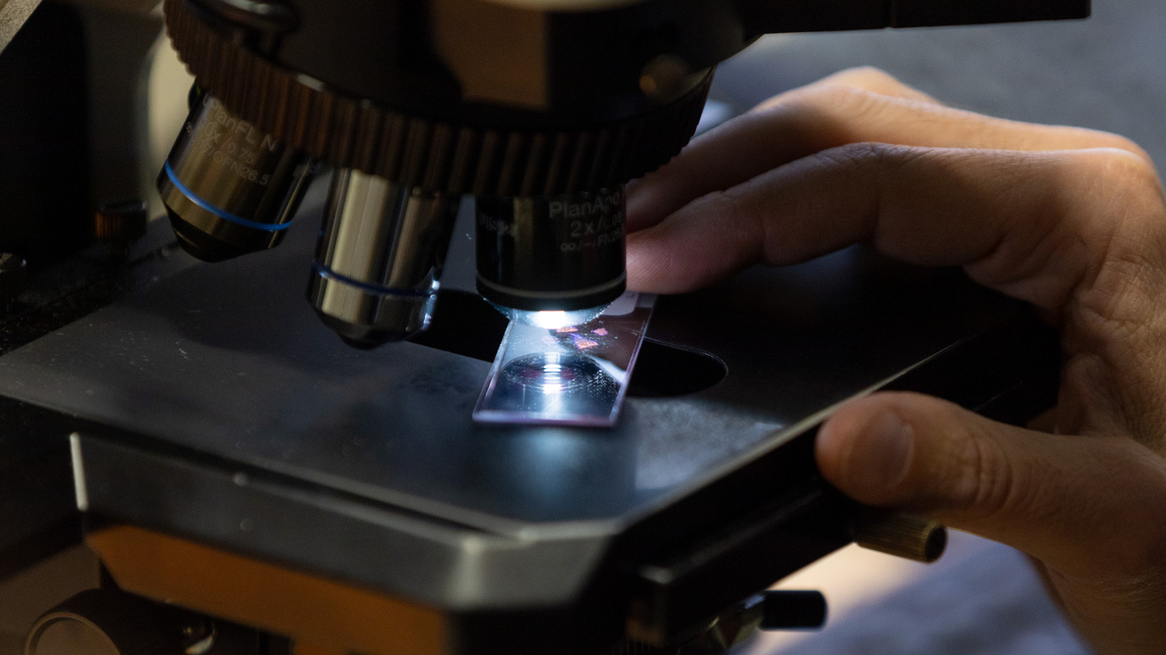 A person using a microscope