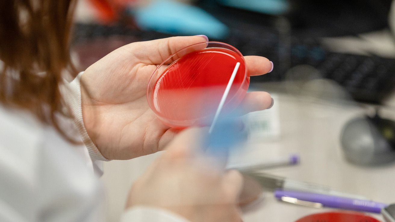 A person with a swab and petri dish